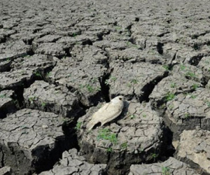 El Nino, biến đổi khí hậu khiến nửa Việt Nam thành chảo lửa