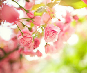 Chủ nhật của bạn (31/5)