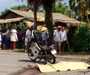 Người đàn ông bị cây đè chết trên đường đi làm về