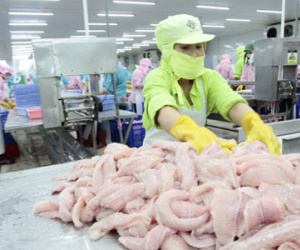 Hàng Việt Nam vào năm nước liên minh, 90% dòng thuế được giảm