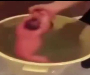 Phẫn nộ: Tắm cho trẻ em như... giặt đồ