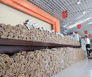 Đem cả xe tiền xu "chất cao như núi" đi mua ô tô