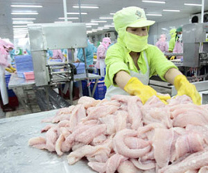 Bộ Tài chính: Giảm thuế theo FTA không làm giảm ngân sách