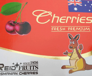 Sốc với cherry “đội lốt” Australia xuất hiện hàng loạt ở Việt Nam