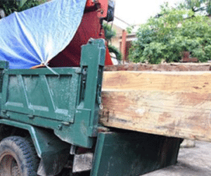 Hạt trưởng Kiểm lâm "dính" gỗ lậu