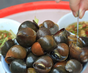 Có nên ăn ốc khi mang thai?
