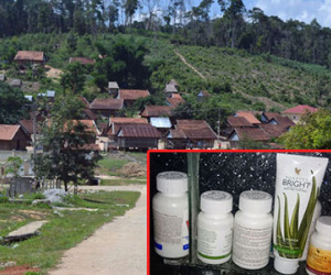 Đa cấp giữa rừng sâu