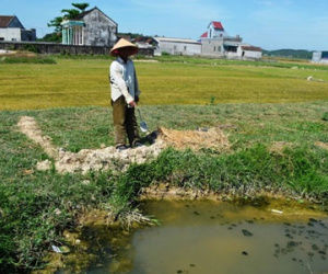 Đi bắt cua, bé trai 11 tuổi bị rắn cắn tử vong