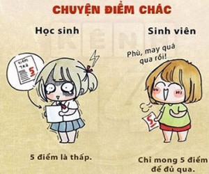 9 điều khác biệt giữa học sinh và sinh viên