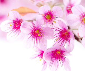 Thứ năm của bạn (11/06)