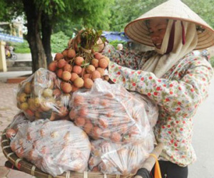 10.000 đồng/kg thì chưa phải vải thiều “xịn"