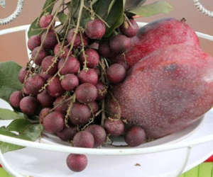 Trả tiền cao gấp 10 lần để được ăn trái cây lạ