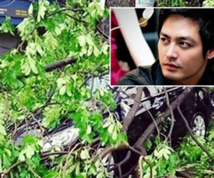 Xe ôtô của MC Phan Anh bị cây đè trong trận gió lốc chiều qua