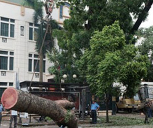 Hà Nội vẫn ngổn ngang sau cơn dông lịch sử