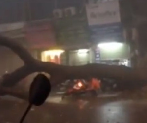 Tình huống thoát chết khó tin khi cây đổ giữa dông lốc