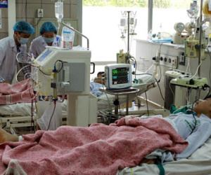 Ăn nấm độc, 7 người trong gia đình nhập viện