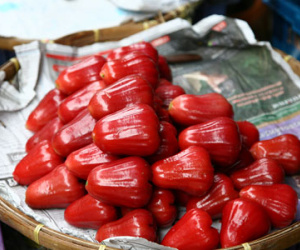 Quả roi (mận) và những công dụng không ngờ