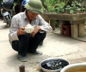 Kỳ lạ nước giếng trong vắt bỗng chuyển màu tím đen ở Phú Thọ