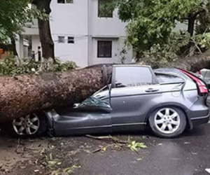 Gần 4,5 tỷ đồng bồi thường ôtô sau trận siêu giông