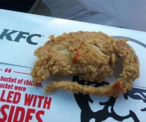 KFC bị tố chiên chuột nguyên con bán cho khách