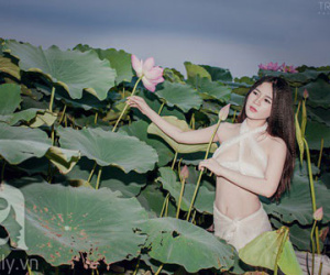 Cô gái mặc bikini voan trắng "hái trộm sen" tạo dáng táo bạo
