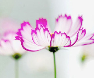 Thứ hai của bạn (22/6)