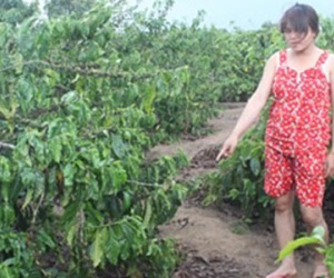 Thủ phạm "nhanh như chớp" hại đời bé gái 7 tuổi