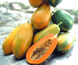 Làm gì khi gan có vấn đề?