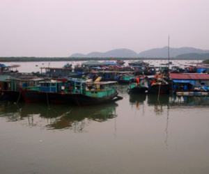 Quảng Ninh cấm biển, Hải Phòng sẵn sàng hộ đê