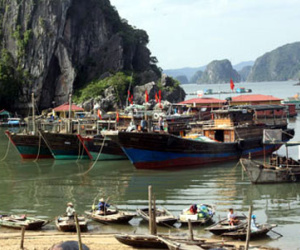 Quảng Ninh cấm nhà nghỉ, khách sạn "chặt chém" du khách mắc kẹt do bão