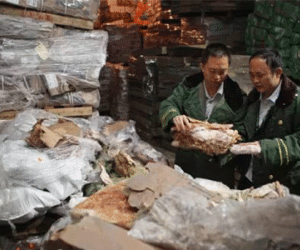 Trung Quốc phát hiện đường dây buôn thịt "quá đát"... gần 40 năm thông qua Việt Nam