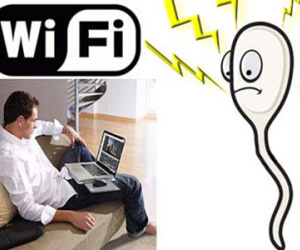 Sóng WiFi giết chết tinh trùng, ngăn cản trứng thụ thai