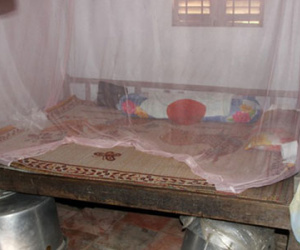 Cảnh sát ập vào hầm bí mật bắt kẻ sát nhân