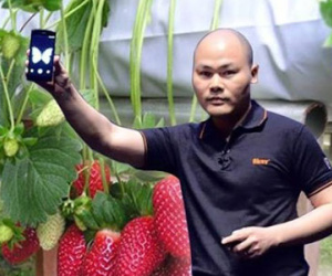 "Anh Quảng" ơi, điện thoại hàng đầu của chúng em đâu?