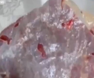 Clip: Kinh hãi dòi bò lúc nhúc khiến miếng thịt bò rung bần bật?