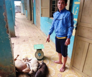 Đại úy công an bị đâm chết khi canh giữ nghi can trộm chó