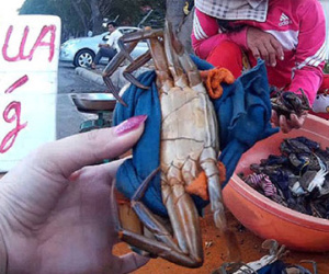 Chiêu bán cua 1 kg còn 400 gram ở vỉa hè TP HCM