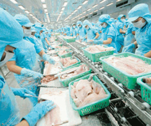 "Nóng" chuyện tăng lương, tăng ca