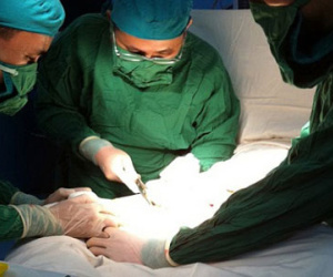 "Của quý" gãy răng rắc, tím như quả mận vì ham cảm giác mới lạ
