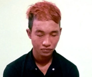 Hào Anh bị bắt vì trộm máy vi tính