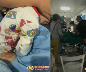 Thò tay vào chuồng hổ, bé 2 tuổi bị cắn đứt cánh tay