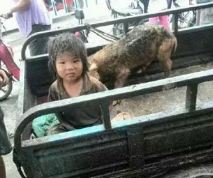 Em bé bị ngược đãi sống chung với lợn, 7 tuổi vẫn chưa biết nói