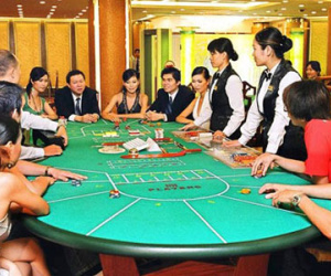 Trộm 22 con bò, sang Campuchia nướng sạch vào sòng bạc