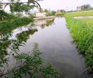 Bà ngất lịm khi thấy 3 cháu bị đuối nước tử vong