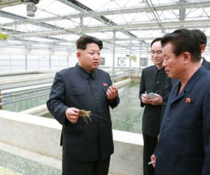 Ông Kim Jong-un tử hình giám đốc công viên vì để rùa chết đói