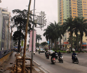 Vụ chặt cây xanh ở Hà Nội: “Quên” hình thức kỷ luật?