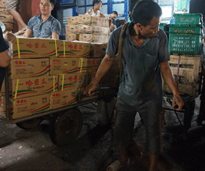 Dẹp chợ Long Biên: Làm đi nhưng... sợ thất bại?