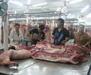 Nhiều người Việt đang ăn để… chết
