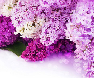 Vận may ngày thứ năm (9/7)