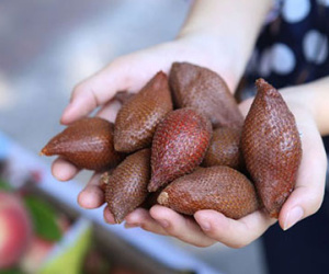 Bán mây Thái, hàng rong Hà Nội hét giá gấp đôi